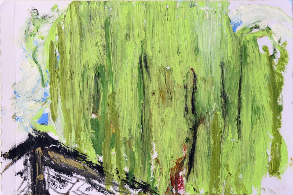 Sapec, série de 11 dessins 21x15cm pastel gras 2022 (1)