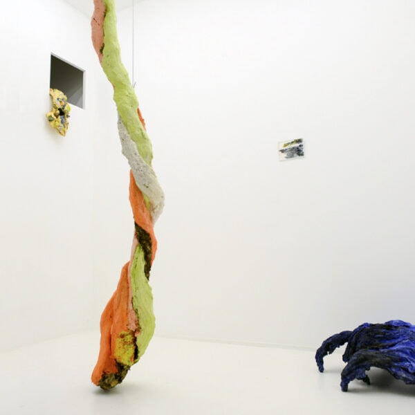Geraldine Guilbaud Tenir Galerie Ici