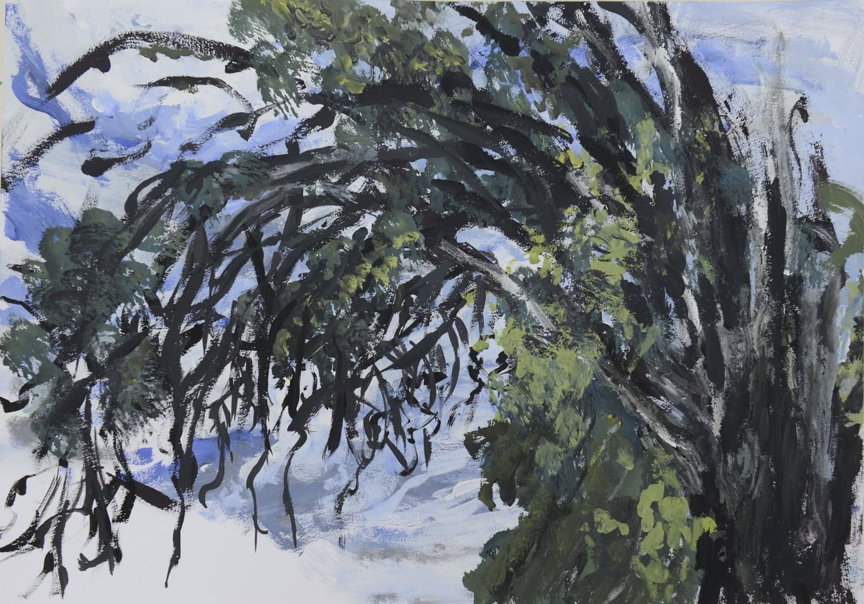 Pedvale le vieil arbre