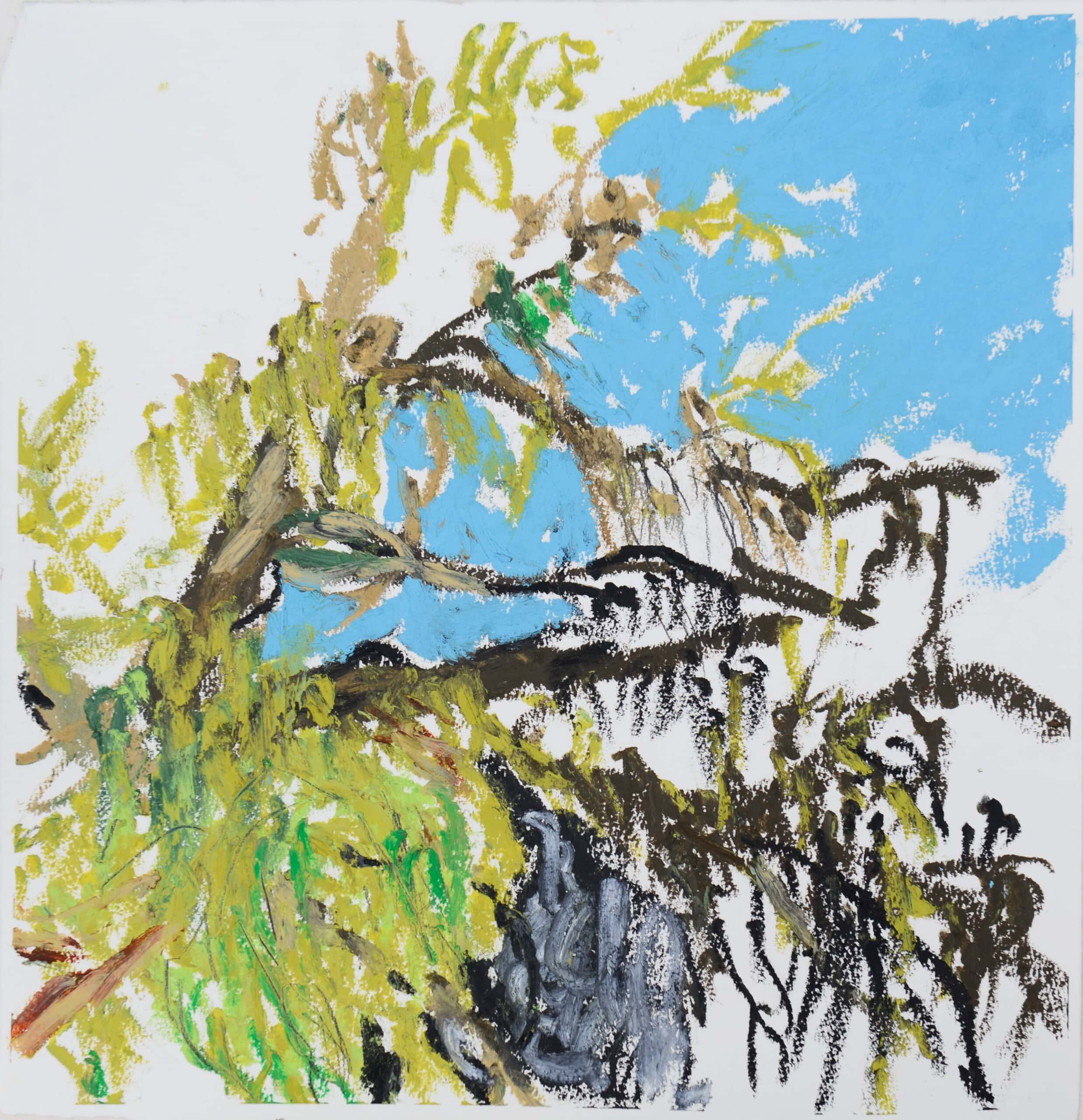 pedvale arbres devant ma fenetre 2