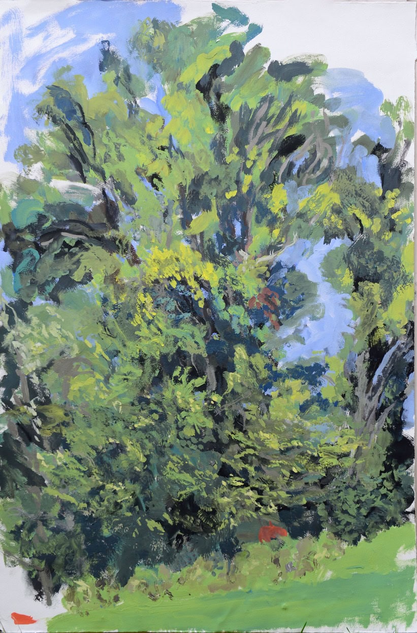 pedvale vent dans les arbres